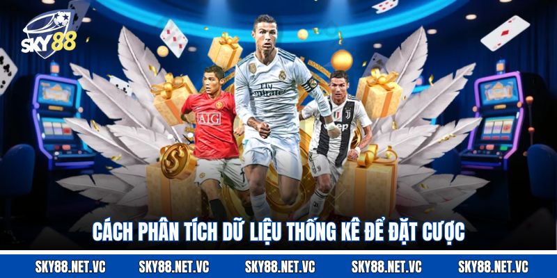 Cách phân tích dữ liệu thống kê để đặt cược